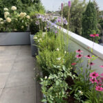 Terrazzo fiorito e rigoglioso in Veneto