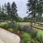 Giardino privato sul Montello TV