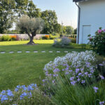 Giardino privato armonioso